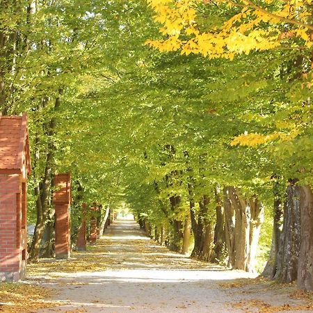 Pilgrim Domek Goscinny W Gietrzwaldzie Na Warmii Ngoại thất bức ảnh